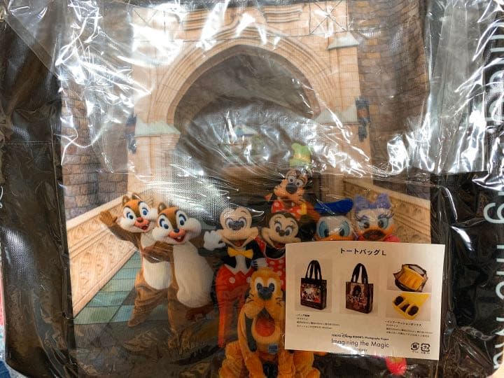 ディズニー  実写　カメラケース　トートバッグ　虻川美香　新品未使用　完売商品
