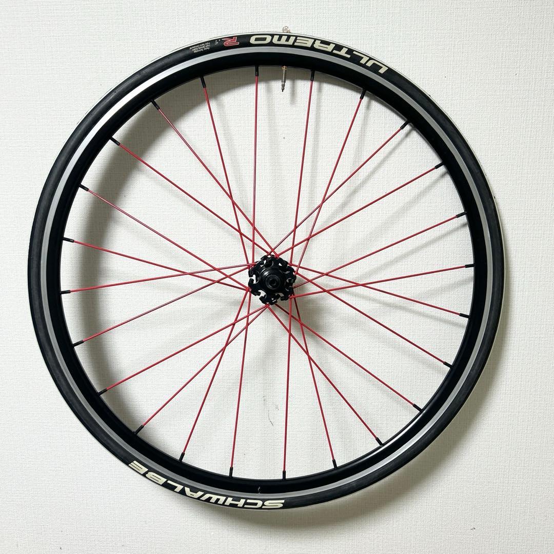 スピナジー　F・Rホイール ザイロンスポーク赤