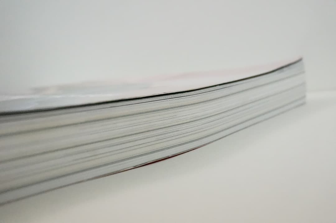 古本 2000部限定 Le petit voyeur #6 カルチャーマガジン