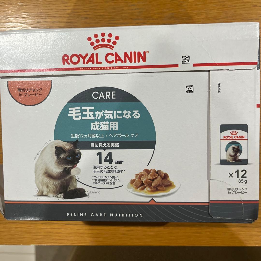  CANIN 毛玉が気になる成猫用 　計40個