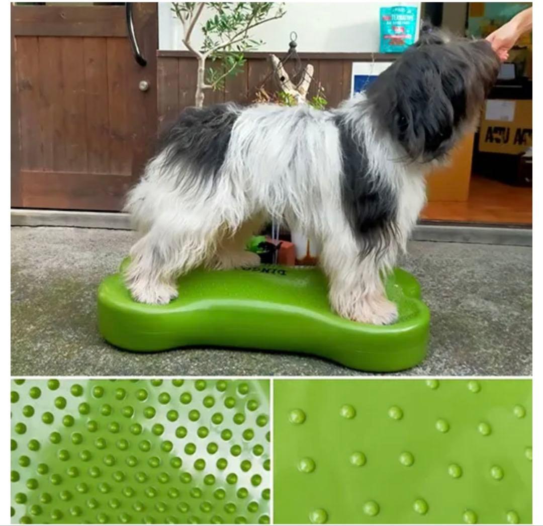新品　ディンゴ　犬用バランスディスク Lサイズ　骨型グリーン