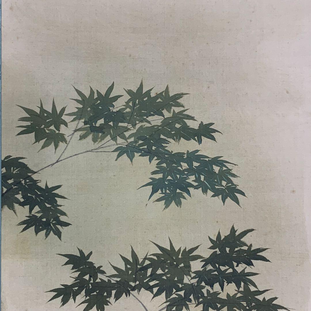 掛軸 光雪 鯉 木箱 3-20