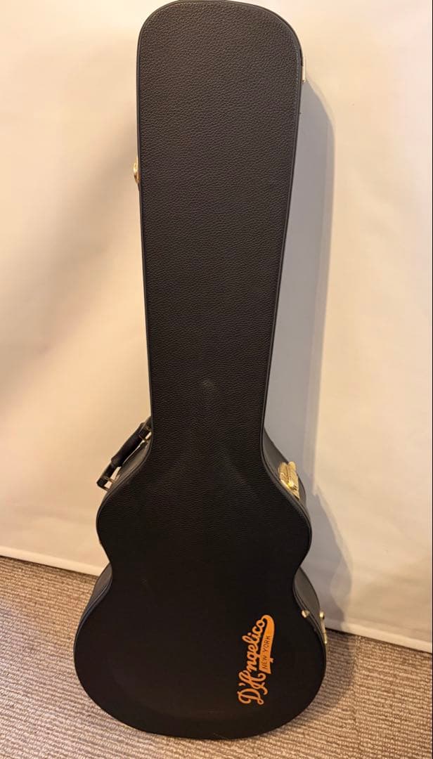 ギター Deluxe Mini DC Limited Edition MWLNT