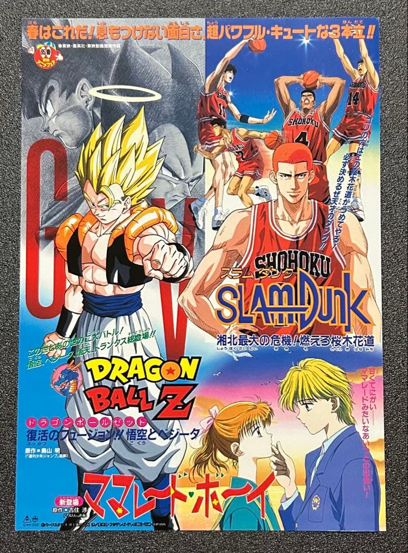 映画チラシ フライヤー 　　　　　【 ドラゴンボール 】 　20枚セット