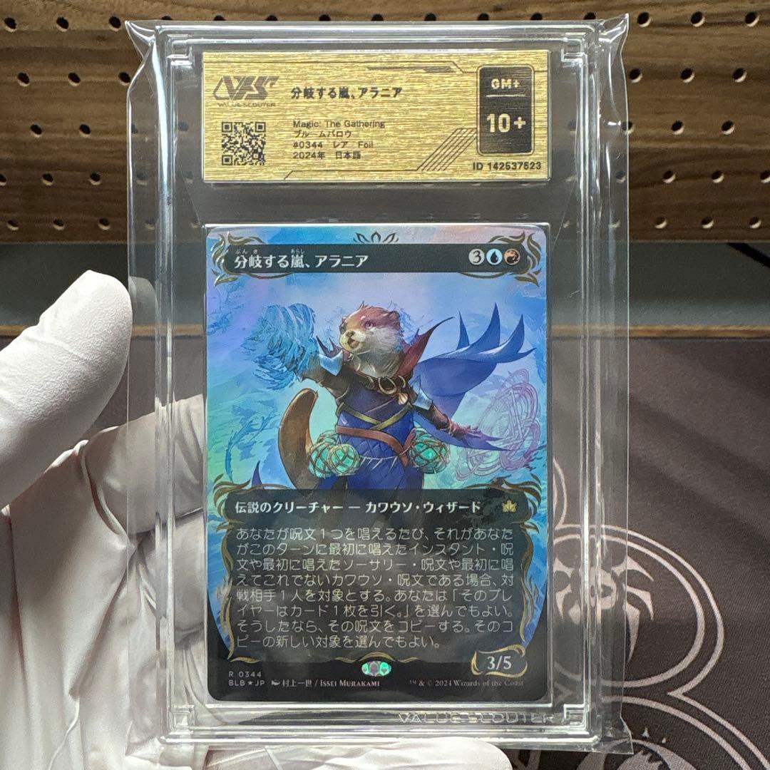 分岐する嵐、アラニア　VSS鑑定品