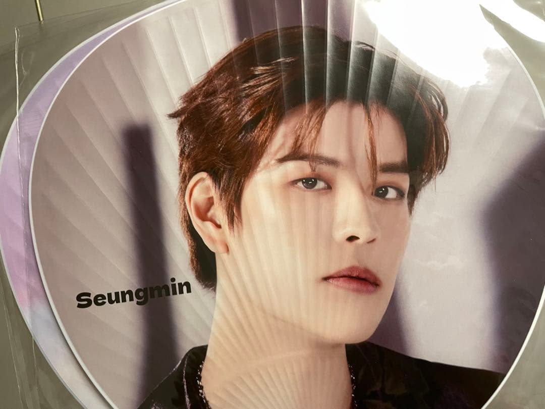 Stray Kids スンミン グッズ