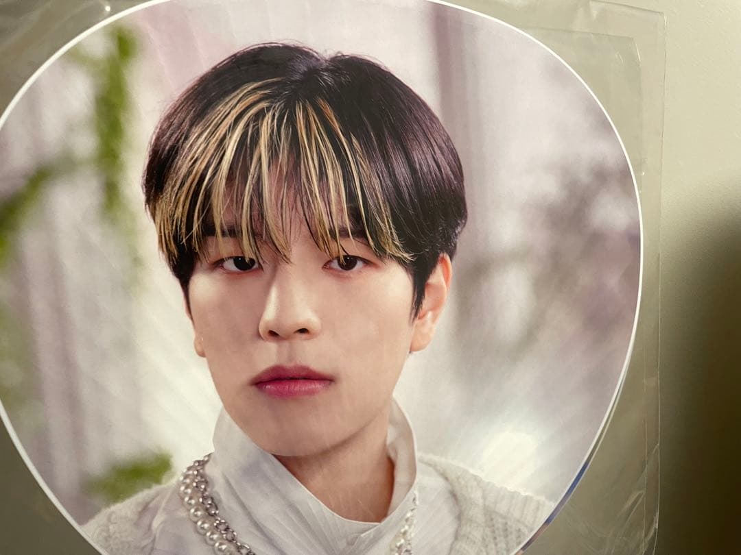 Stray Kids スンミン グッズ