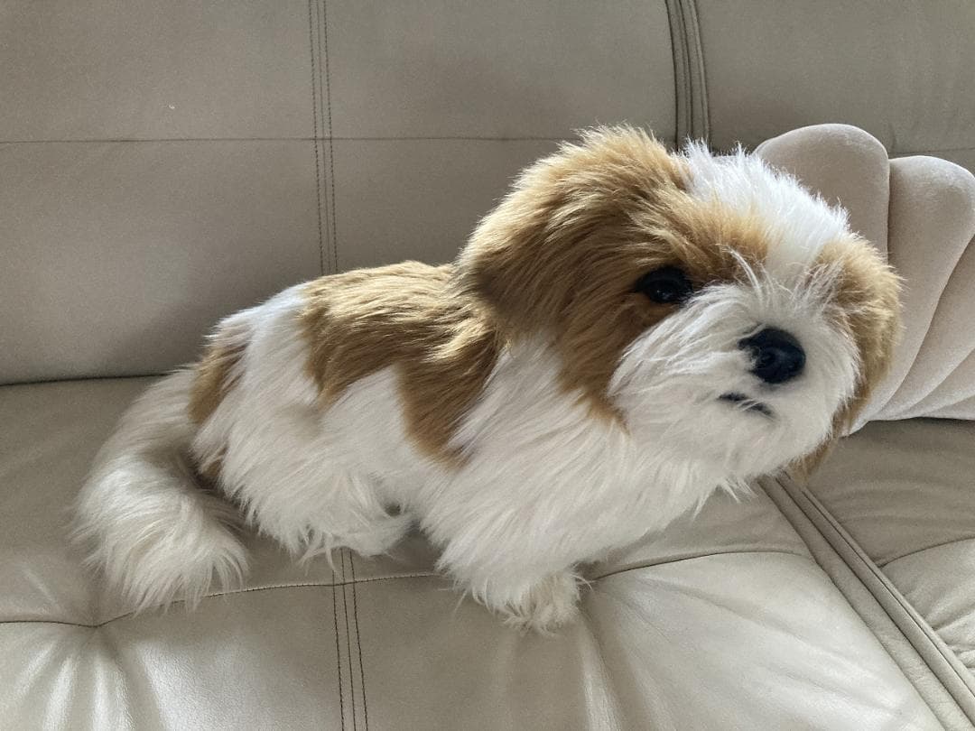 売約済み　HANSA　シーズー　ティディベア２点セット