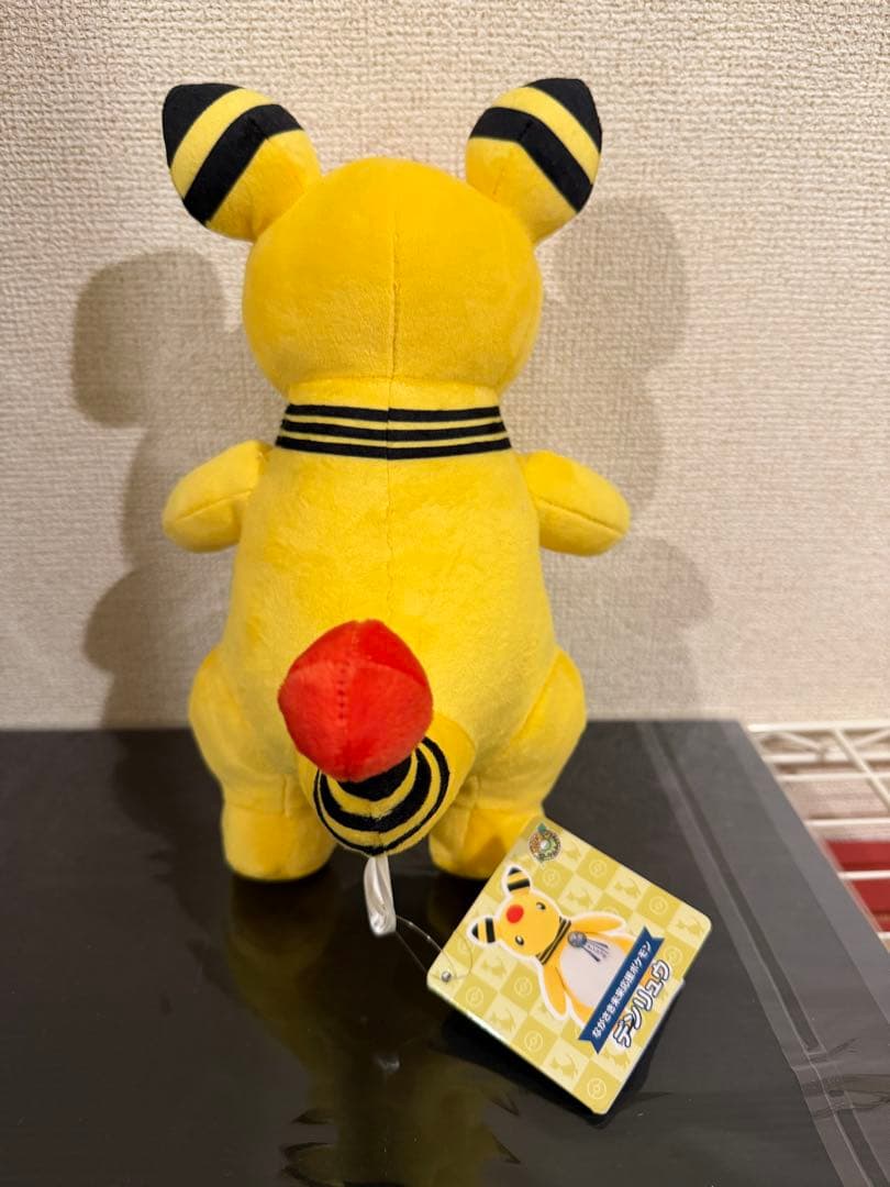 ポケモン　物産展　デンリュウ　ローカルActs