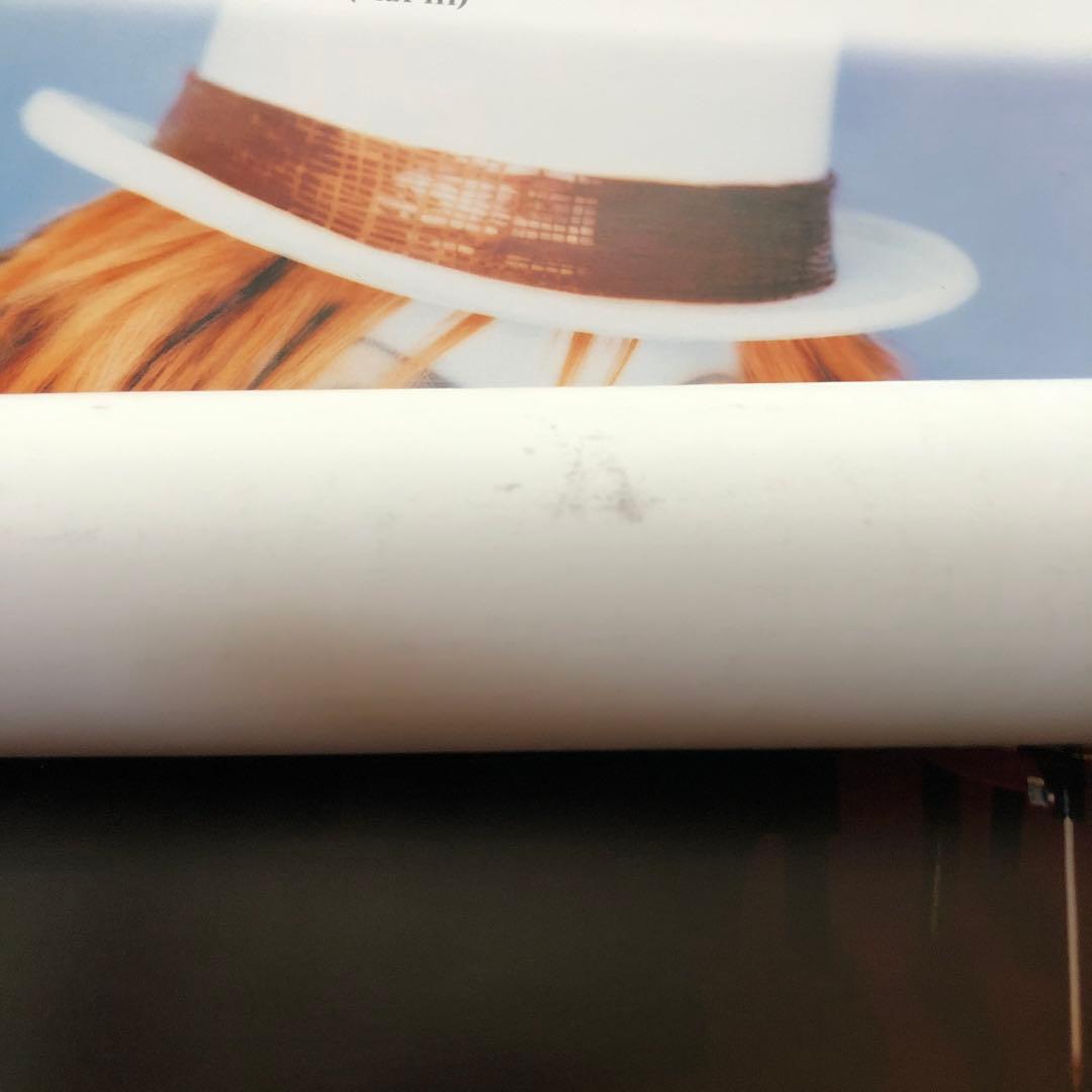 MALICE MIZER マリスミゼル B2 非売品ポスター 2枚