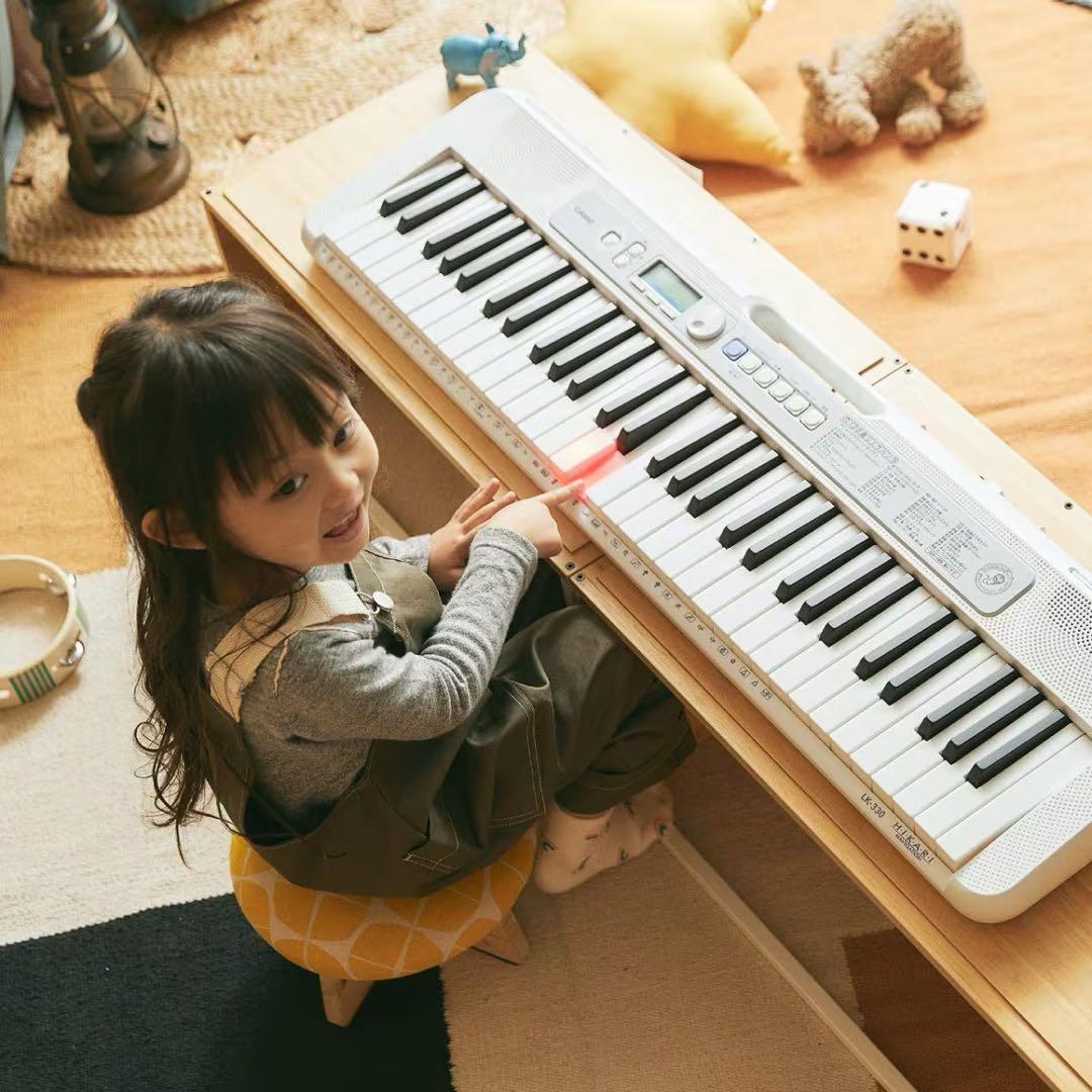 CASIO光ナビゲーションキーボード LK-330