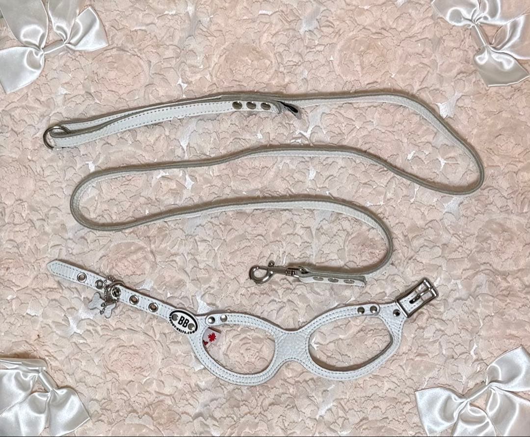 BUDDYBELTS (バディベルトBB) ハーネス2号　リードSサイズ　白