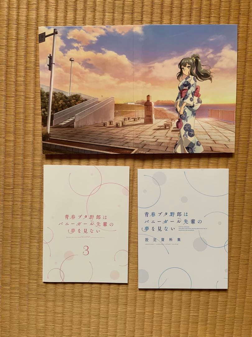 青春ブタ野郎はバニーガール先輩の夢を見ない　DVD版