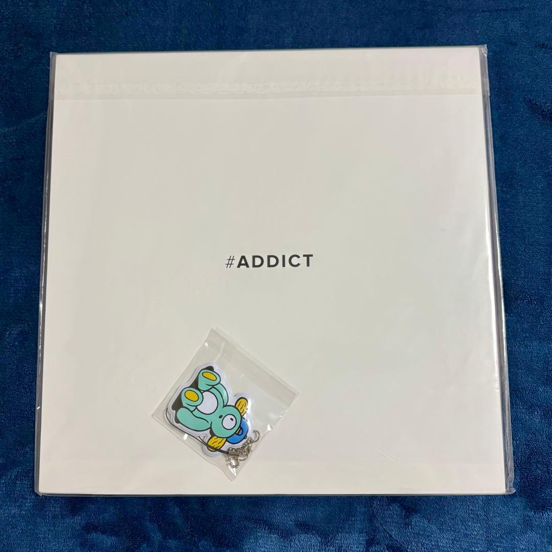 【美品】安室奈美恵 パンフレット ADDICT 25周年 沖縄ライブ