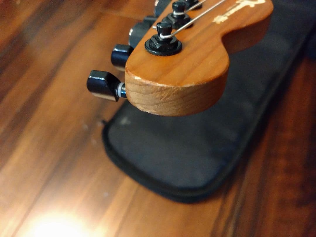 ギター Pro-Mod So-Cal Style 2 24 HH 2PT CM ASH