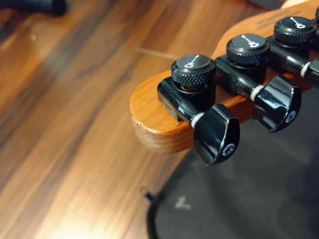 ギター Pro-Mod So-Cal Style 2 24 HH 2PT CM ASH