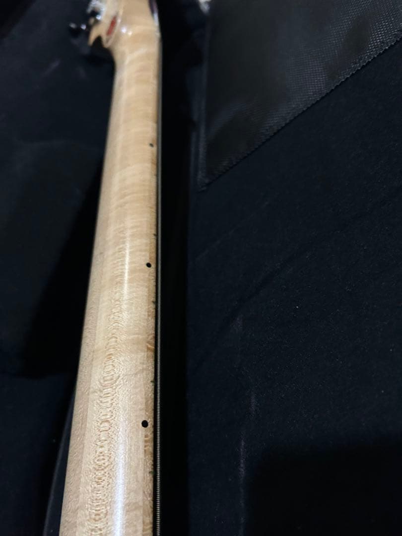 ベース F-bass BN5