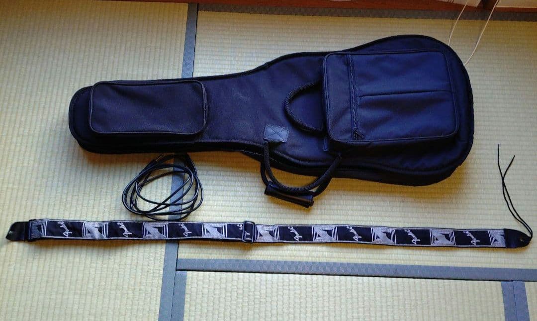 Blitz by AriaProⅡ エレキギター