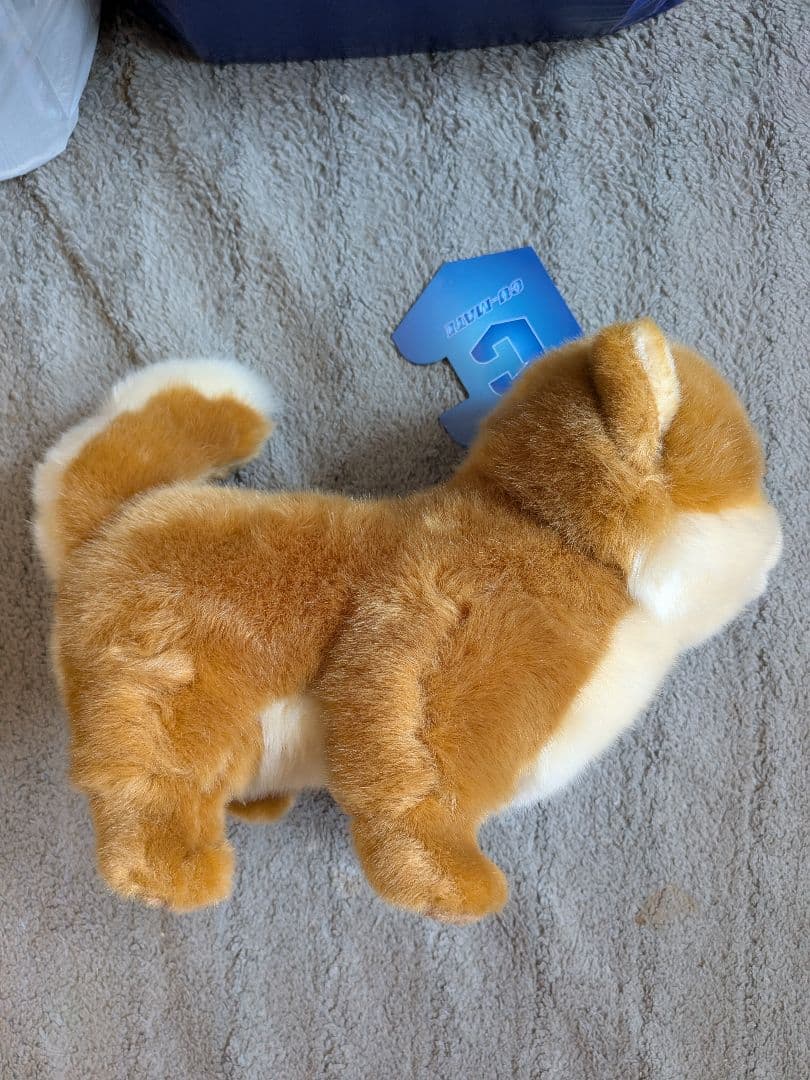 『櫻坂』しかくに