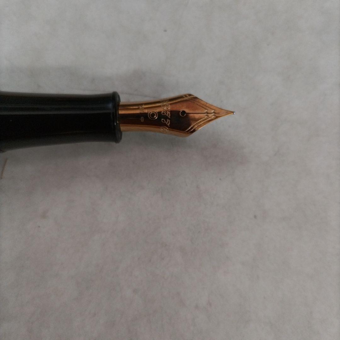 PLATINUM #3776 万年筆 花柄装飾