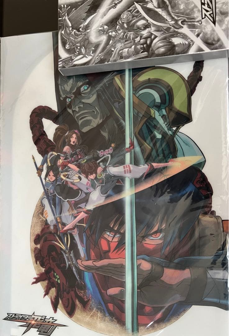 ストライダー飛竜　特A級limited edition（ソフトなし）