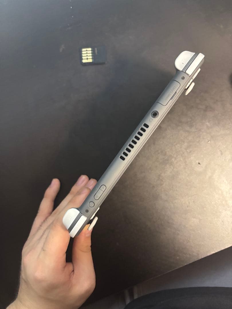 ぽて　Nintendo Switch Lite グレー