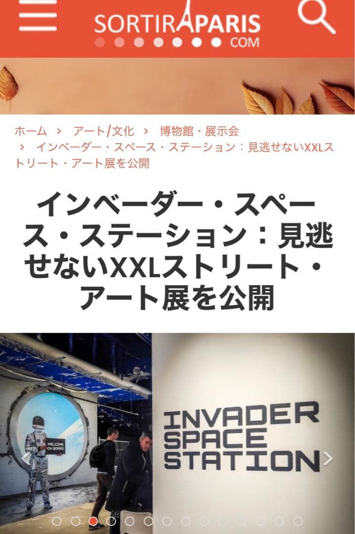 Invader Space Station インベーダー アート 限定ステッカー