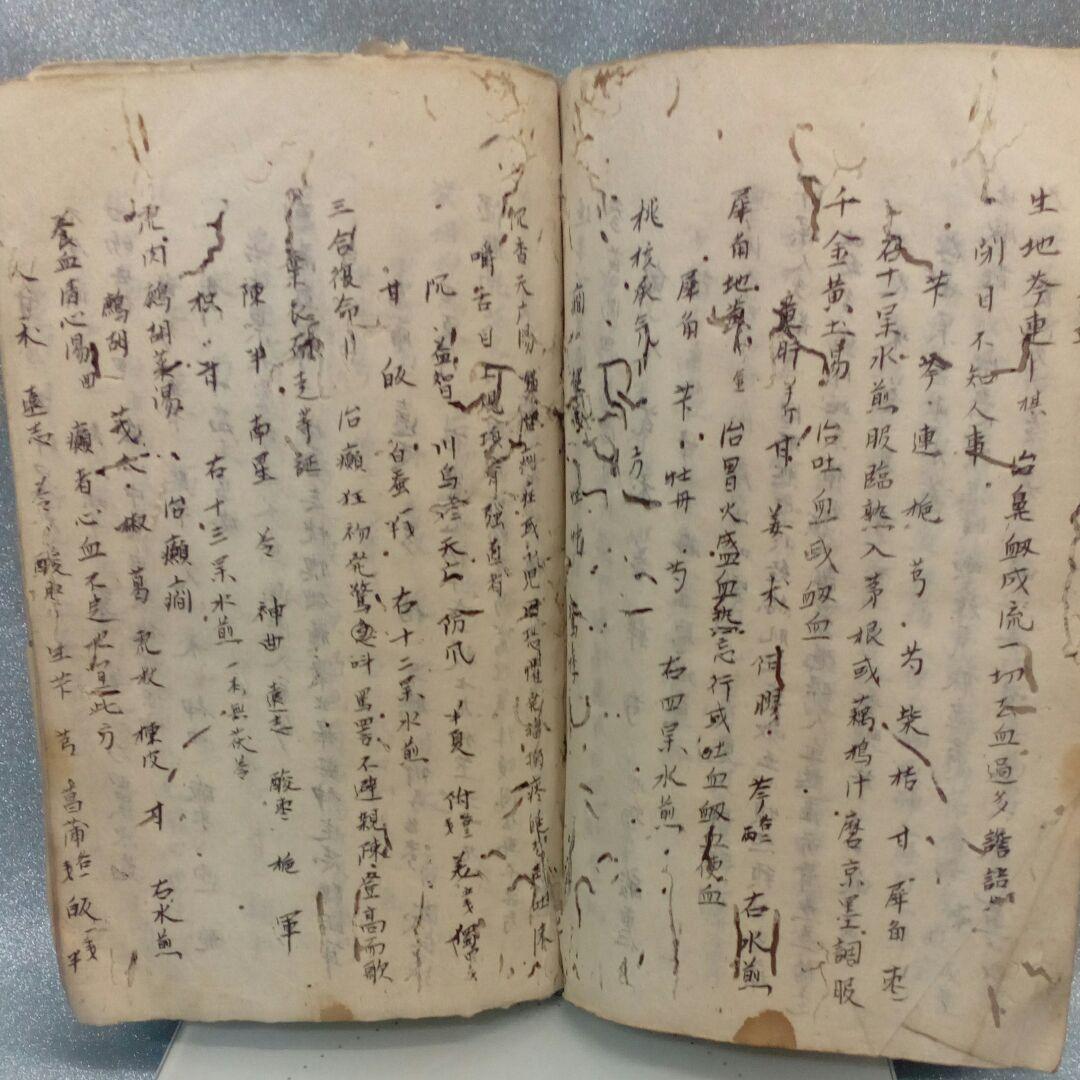 阿波國蔵出江戸時代文政年間直筆漢方医学古文書凄まじい虫喰い残骸ジャンク扱い当時物