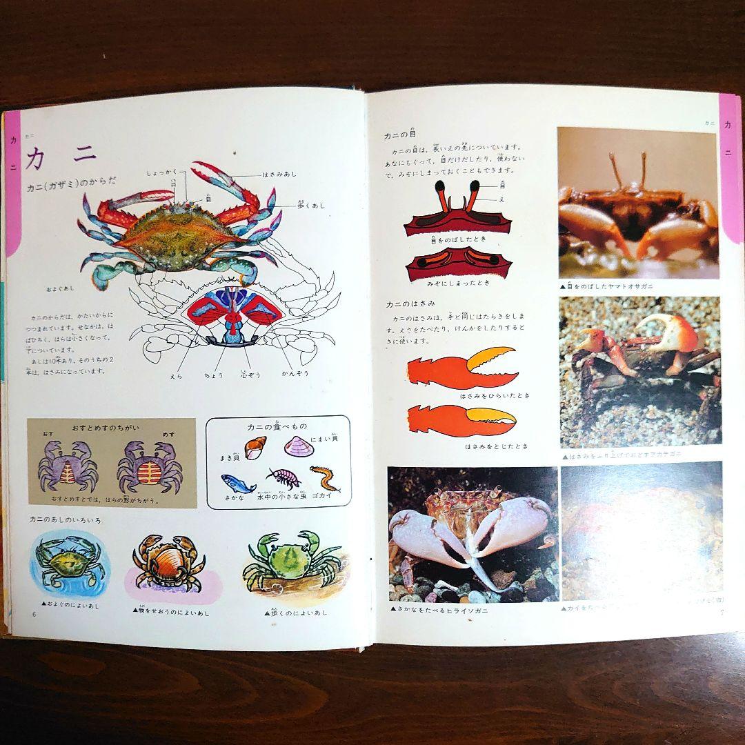 【昭和レトロ・レア品】1970 学研の図鑑 全9巻セット