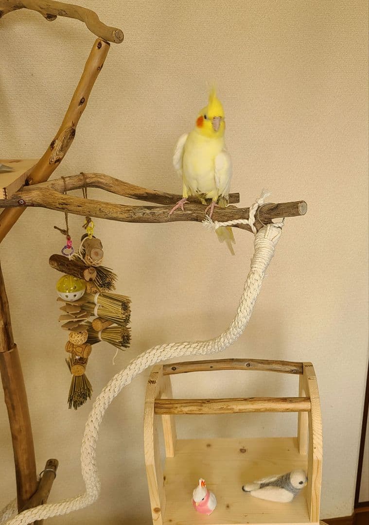 ①ty master@即購入ok　オーダー　バードアスレチック　流木