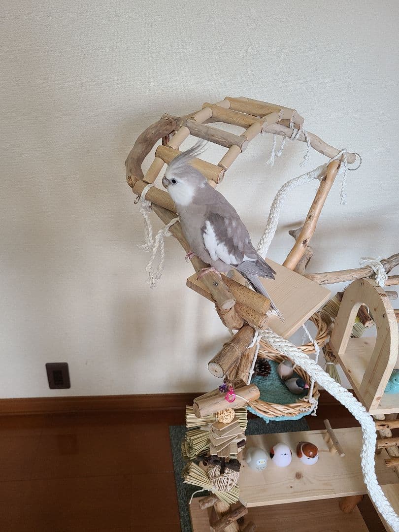 ①ty master@即購入ok　オーダー　バードアスレチック　流木