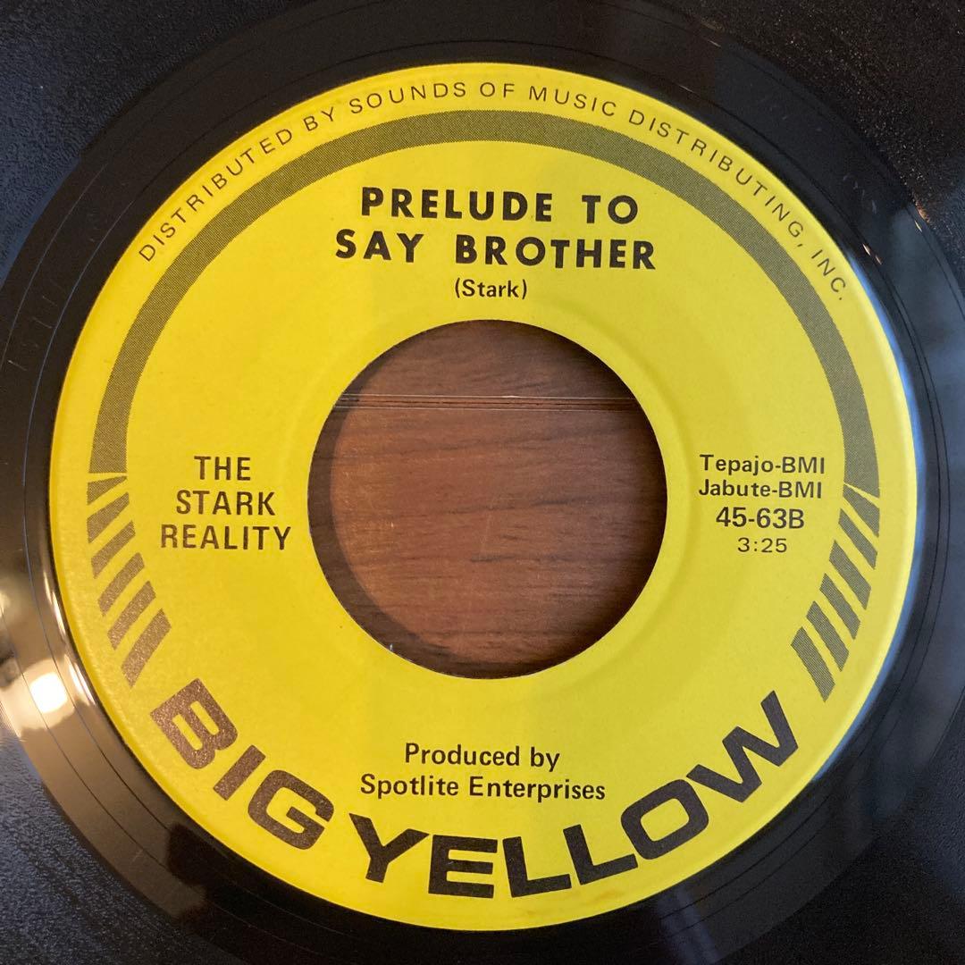 THE STARK REALITY Say Brother 7インチ