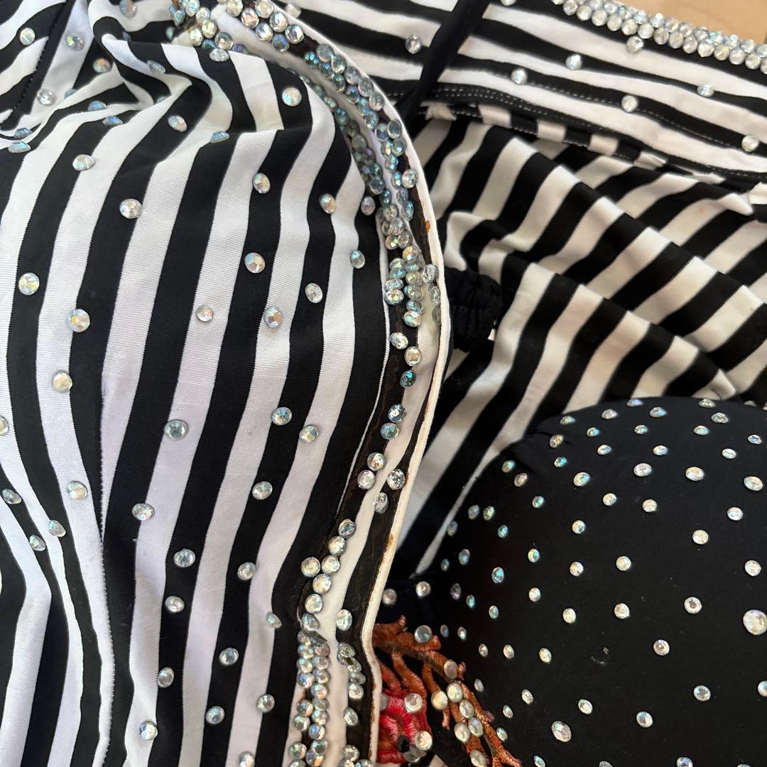 モナリザ(タグなし)ベリーダンス　バラディドレス