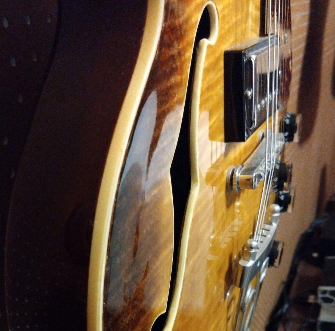 【究極のカスタム品】エピフォン ワイルドキャット