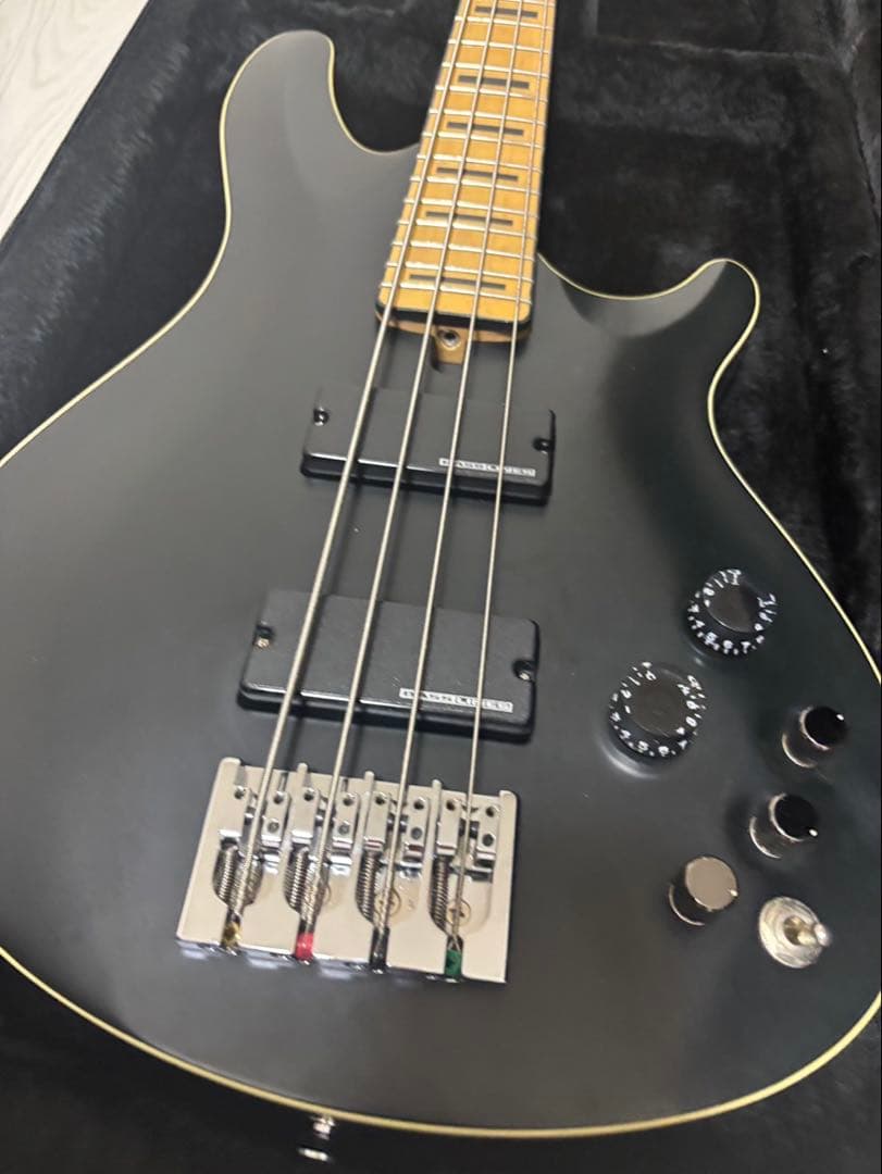 SCHECTER TOMOHIRO FACT シェクター　ベース