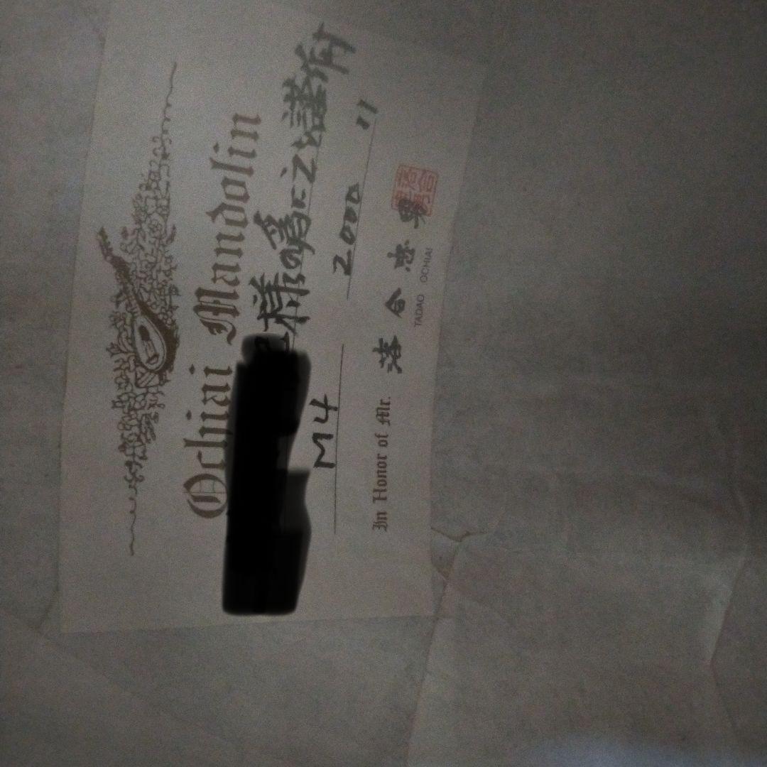 【希少】落合忠男 M4 マンドリン　2000年