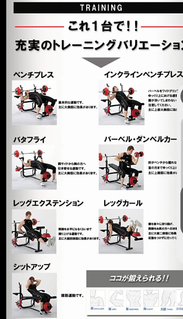 ファイティングロード　キングofベンチ① 送料込み！