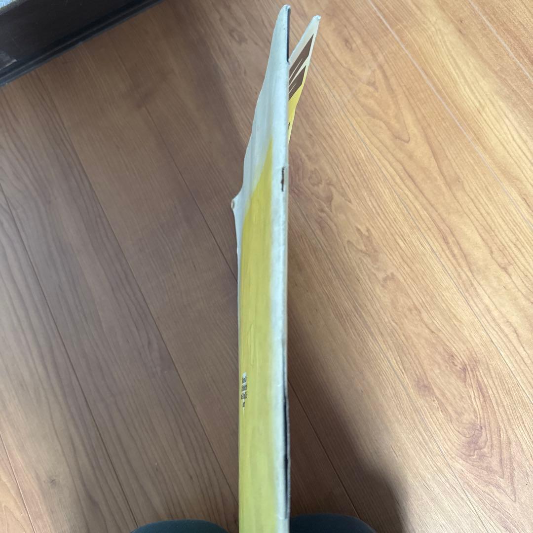 佐野元春様1982年パンフレット