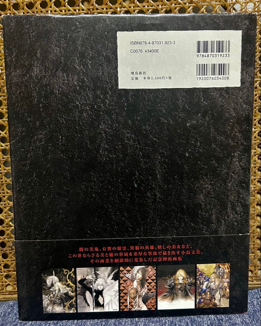 緋いユリ 小島文美画集 初版