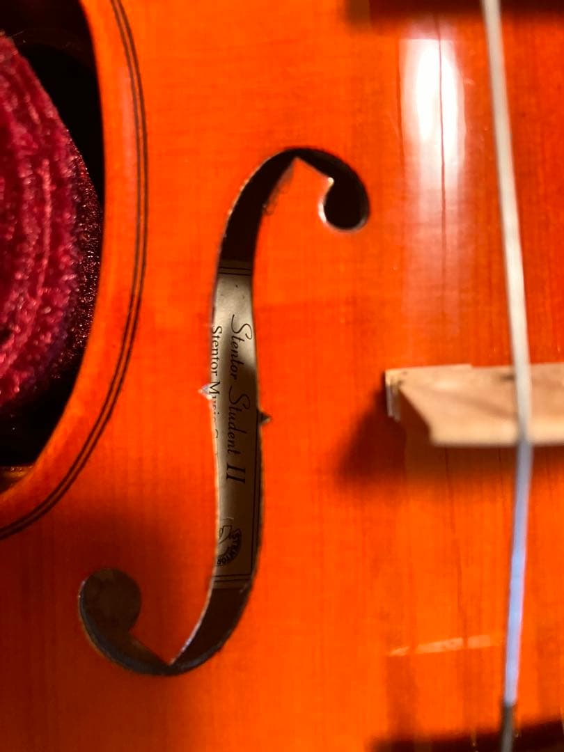 バイオリン　1/2サイズ　ステンター　スチューデント2