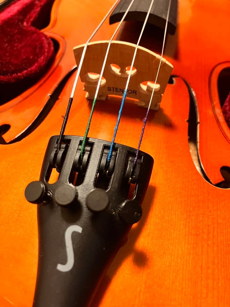バイオリン　1/2サイズ　ステンター　スチューデント2