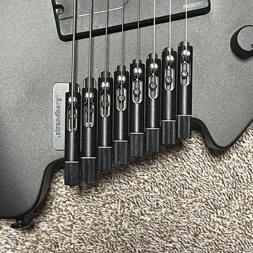 ギター strandberg Boden l NX8 Black Granite