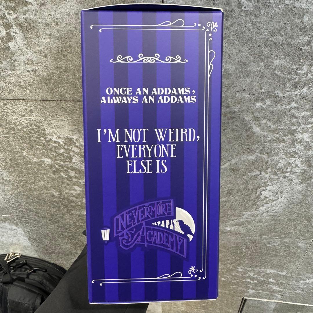 SKULLPANDA x Wednesday ぬいぐるみ ウェンズデー