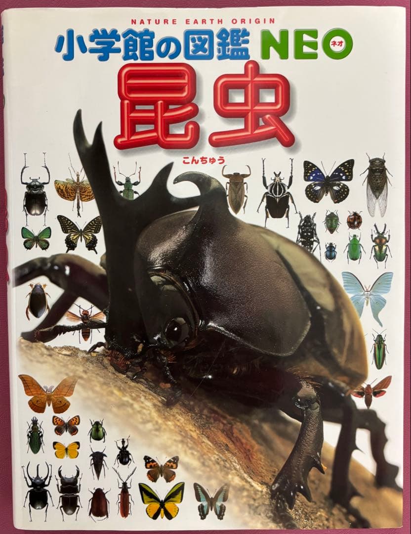 小学館の図鑑　NEO 9冊 小学館のこども図鑑　プレNEO 2冊