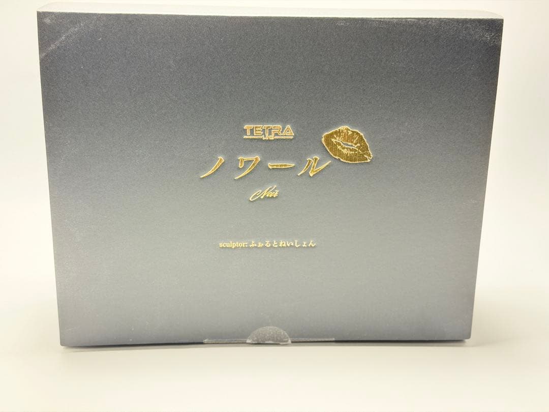 ブラン•ノワール姉妹セット勝利の女神NIKKE ふぉるとねいしょんガレージキット