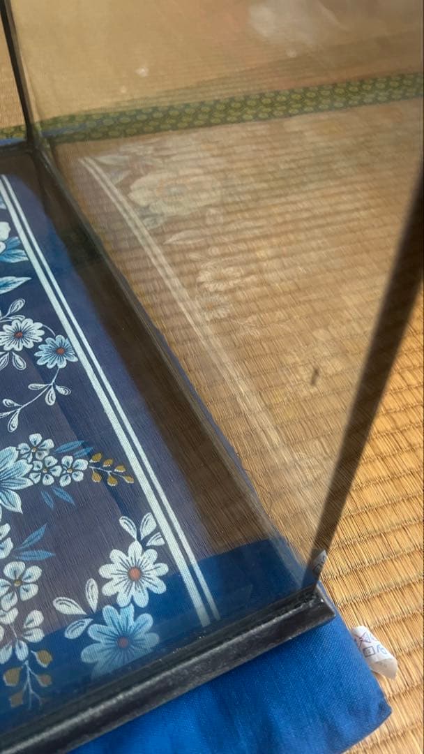 ガラス製 爬虫類 両生類 飼育ケージ エキゾテラ 4545