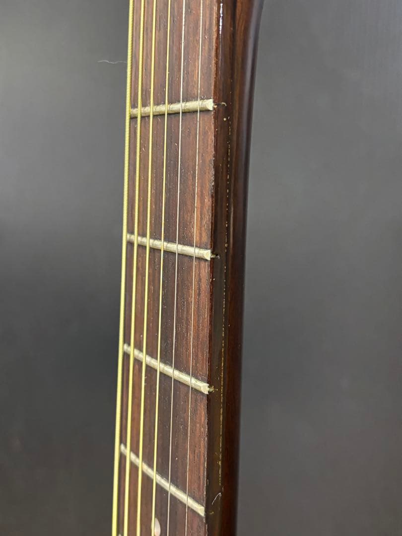Morris モーリス W-18 アコースティックギター
