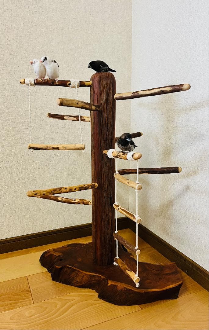 【中型鳥】ブランコ＆はしご付バードアスレチック♬