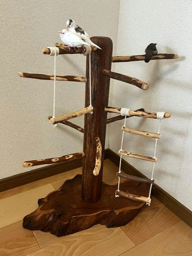 【中型鳥】ブランコ＆はしご付バードアスレチック♬