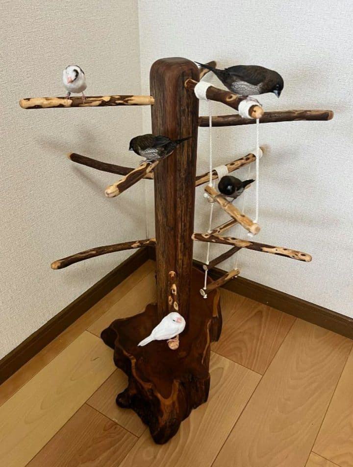 【中型鳥】ブランコ＆はしご付バードアスレチック♬